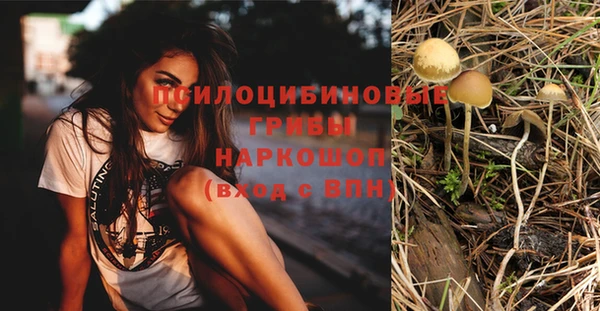 хмурый Пролетарск