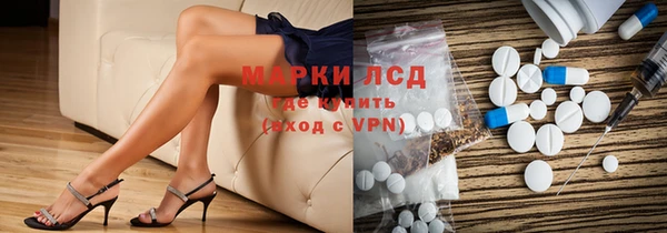 прущие грибы Зерноград