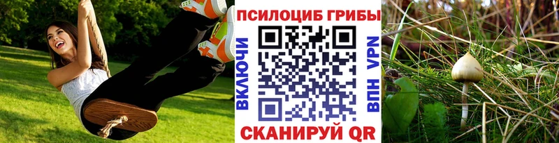 как найти закладки  Ахтубинск  Галлюциногенные грибы MAGIC MUSHROOMS 