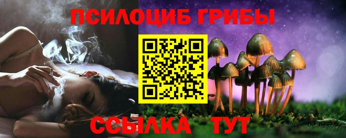 Псилоцибиновые грибы MAGIC MUSHROOMS  Ахтубинск 