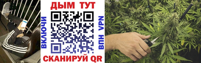 магазин продажи   Ахтубинск  МАРИХУАНА OG Kush 
